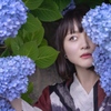 紫陽花　2