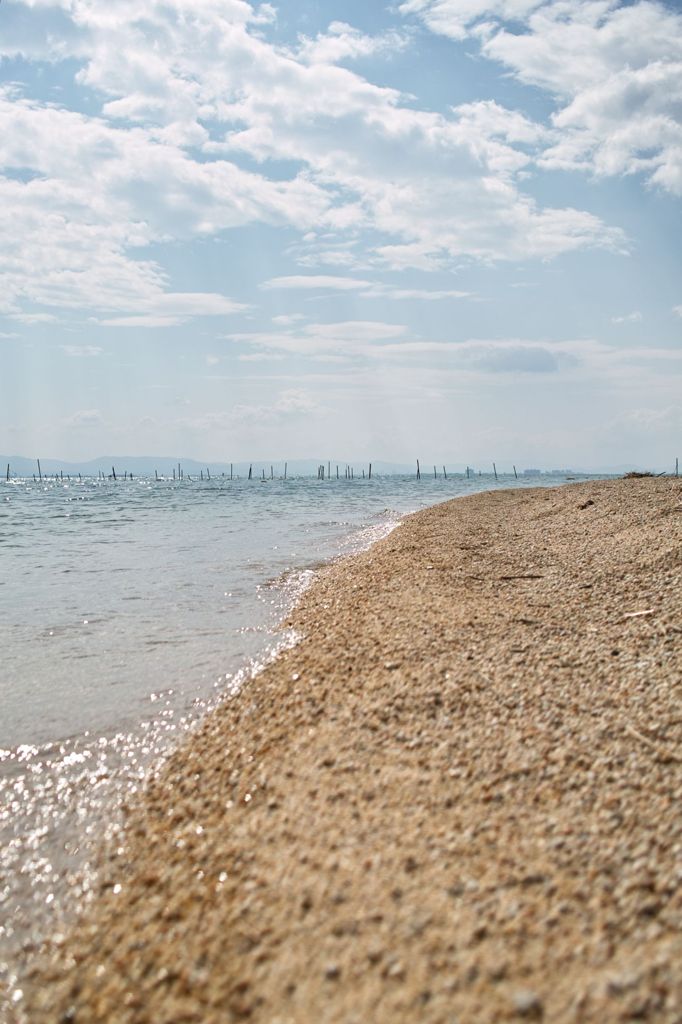 湖岸の風景