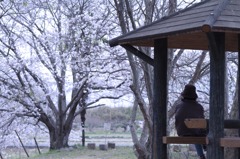 ならの公園