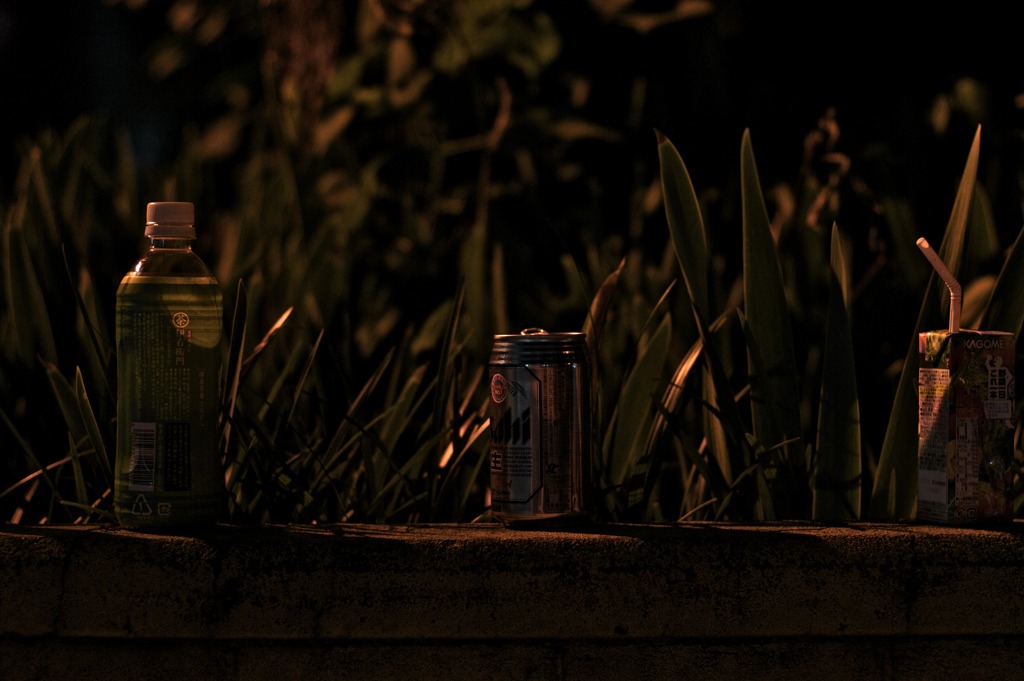 DSC01109　にるばーな