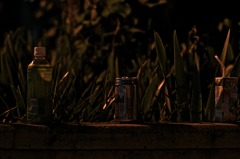 DSC01109　にるばーな