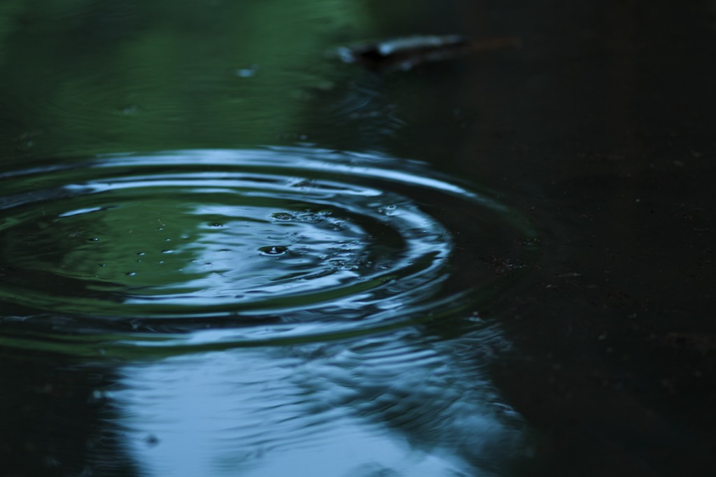 パパウパうパウ〜　波紋カッター　