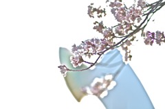 たいようのとう