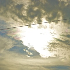 DSC01155