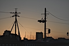 _MG_6354