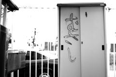 _MG_9420 (1)