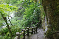 鶴仙溪