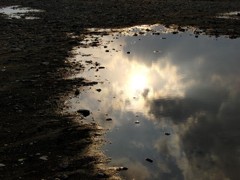 水溜り