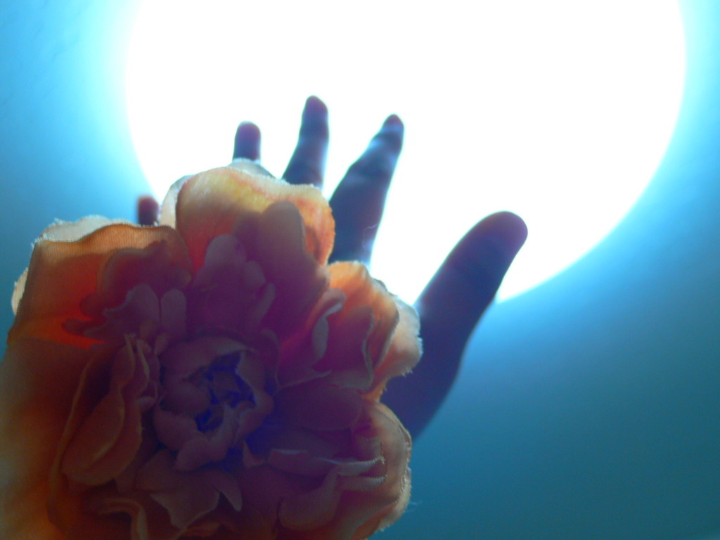 toy camera風