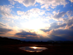 雨上がりのニオイ