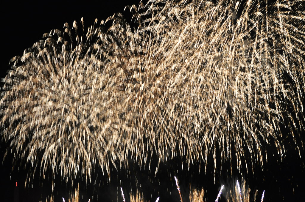 DSC_1250