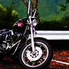 山頂初秋 2010-09-19