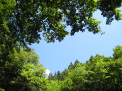 飛び立つ手前