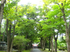 進む