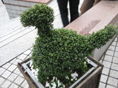 これだったらばれないよ