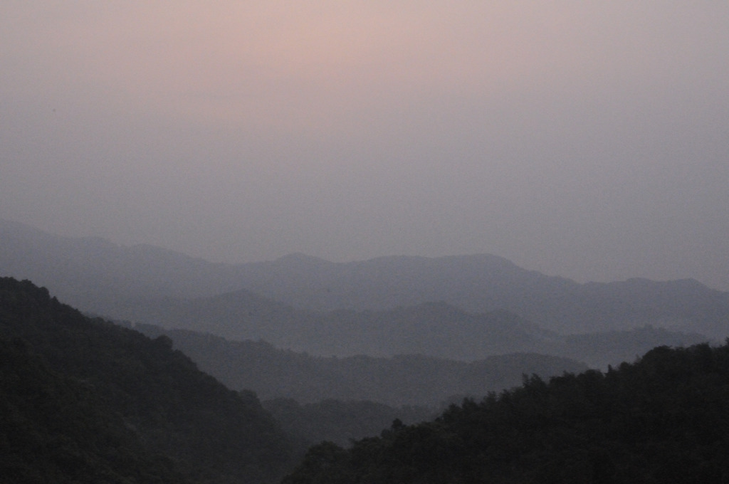 朝霧