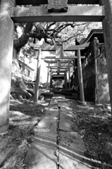 長崎_大徳寺横の大楠神社