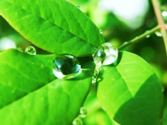 水滴