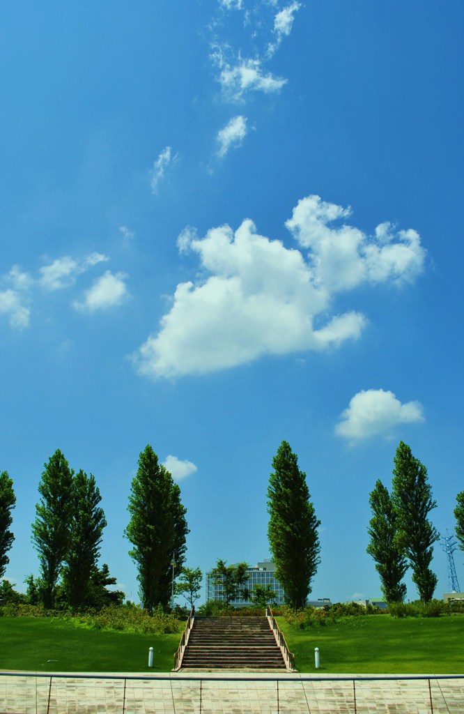 夏空2011