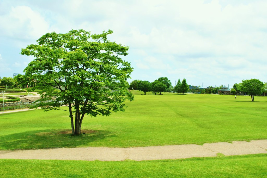 GREEN　FIELD