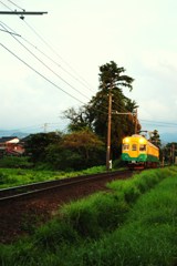 かぼちゃ電車