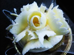 白チョコ薔薇
