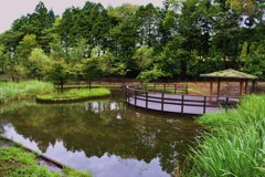 公園の池