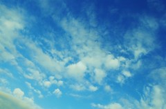 空を見上げて
