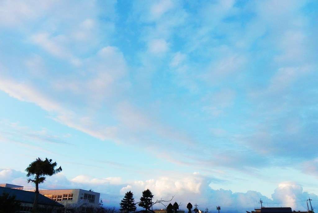 冬の青空