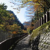 石垣の道