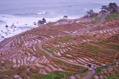 輪島・千枚田
