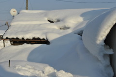 豪雪