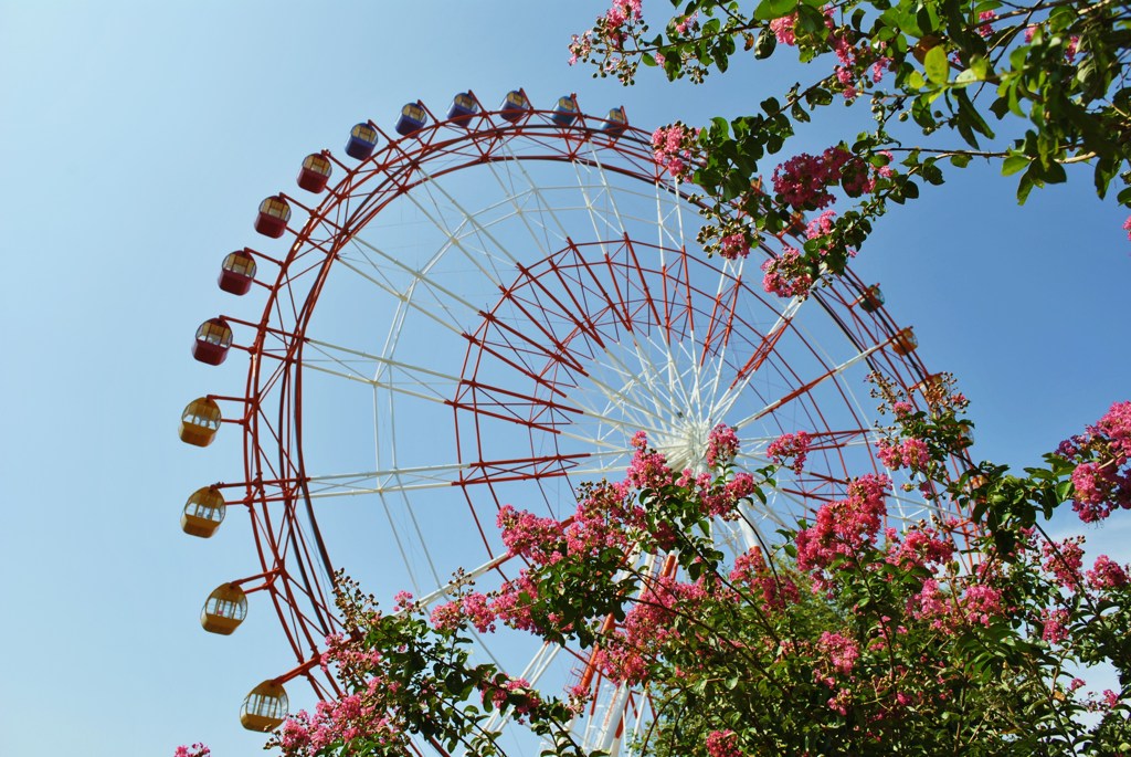 Ferris wheel２