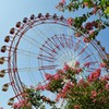 Ferris wheel２