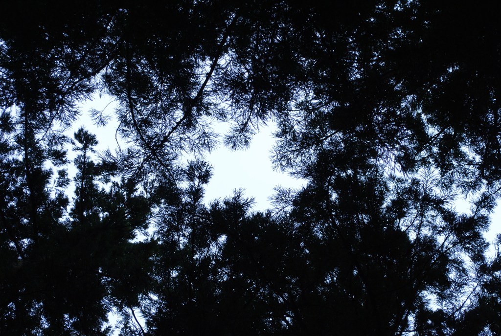 空