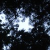 空