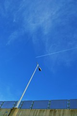 DSC_0054