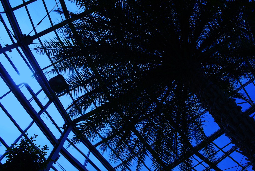氷見市海浜植物園