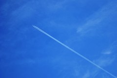 DSC_0052