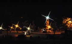 夜の公園