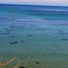 阿尾の海