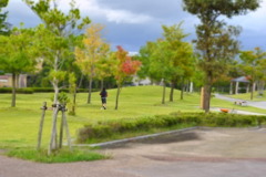 近所の公園