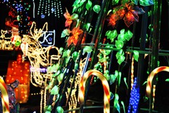 ﾎｰﾑｲﾙﾐﾈｰｼｮﾝ