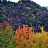 山を見てる紅陽トリオ