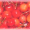 ｃｈｅｒｒｙ