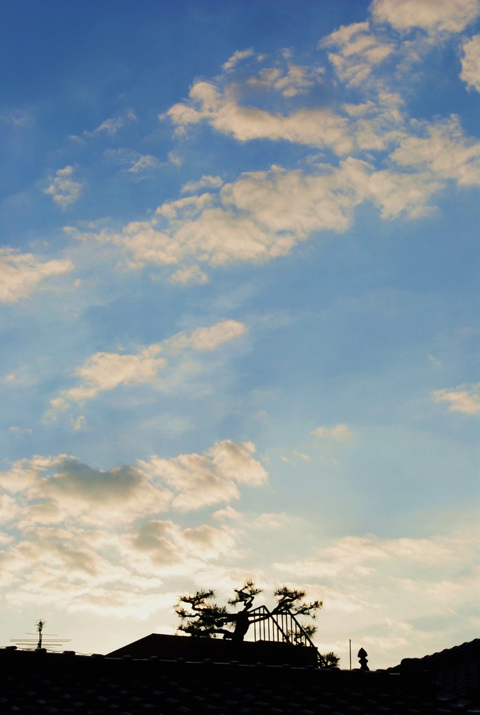 雲