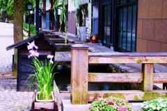 飛騨古川