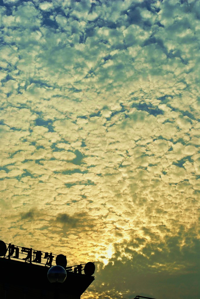 泡雲・・・？