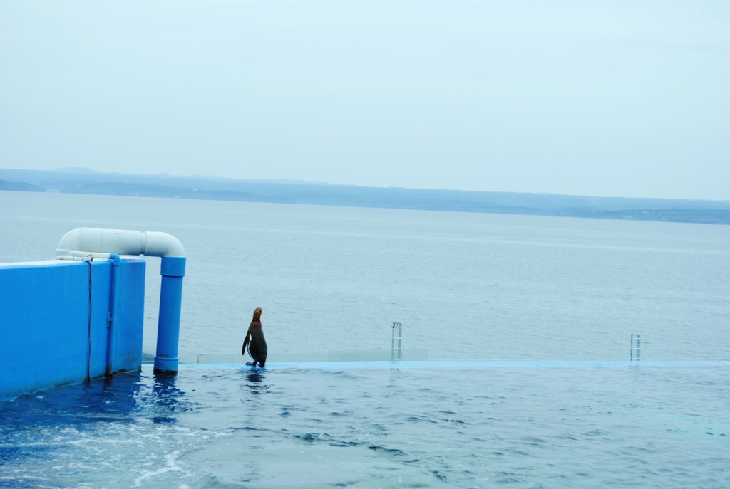 海は、いいよなーーーー・・・