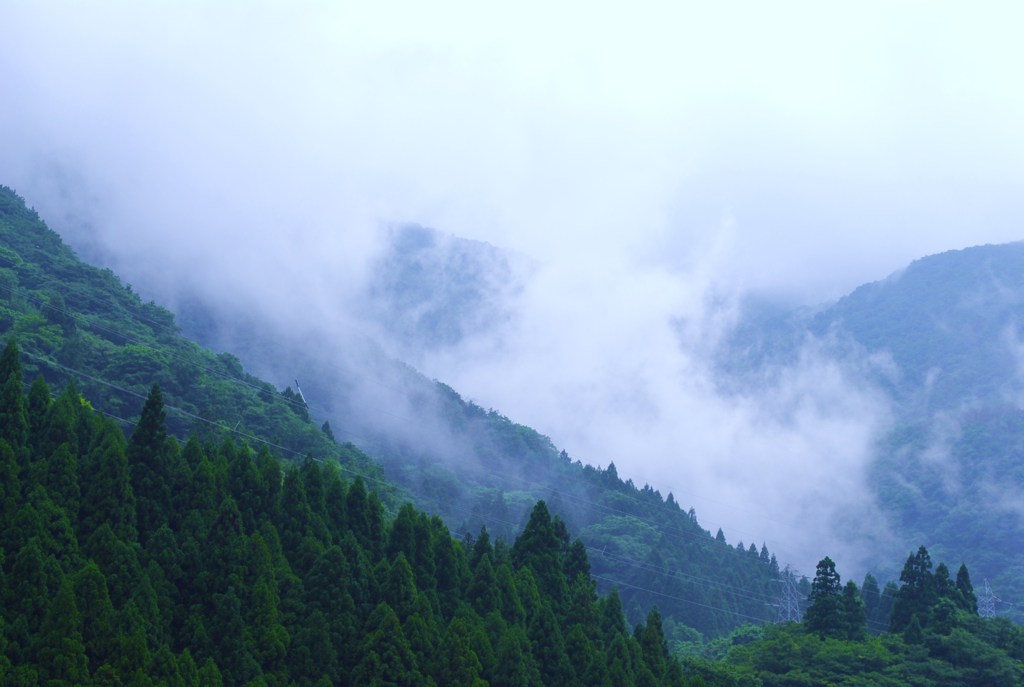 霧